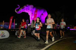 BIB: 
                            <button type="button" onclick="openModal(26534657)" class="btn btn-primary btn-sm float-right btn-popup" data-toggle="modal" data-target=".modal-high-quality">
                        <i class="fas fa-shopping-cart"></i> Add to Cart
                    </button>
                                            <button type="button" onclick="isThisMe(26534657, true)" class="btn btn-success btn-sm float-right btn-popup btn-isme hidden" data-toggle="tooltip" data-placement="bottom" title="นี่คือรูปของคุณใช่ไหม คลิกที่นี่เพื่อเอาเข้าอัลบั้ม">
                        <i class="fas fa-plus"></i> Add to album
                    </button>
                    <button type="button" onclick="isThisMe(26534657, false)" class="btn btn-warning btn-sm float-right btn-popup btn-isnotme hidden">
                        <i class="fas fa-ban"></i> Remove from album
                    </button>